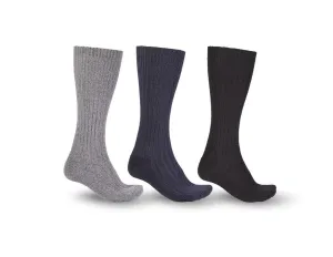 e.s. work socks Classic warm/x-high, pack of 3