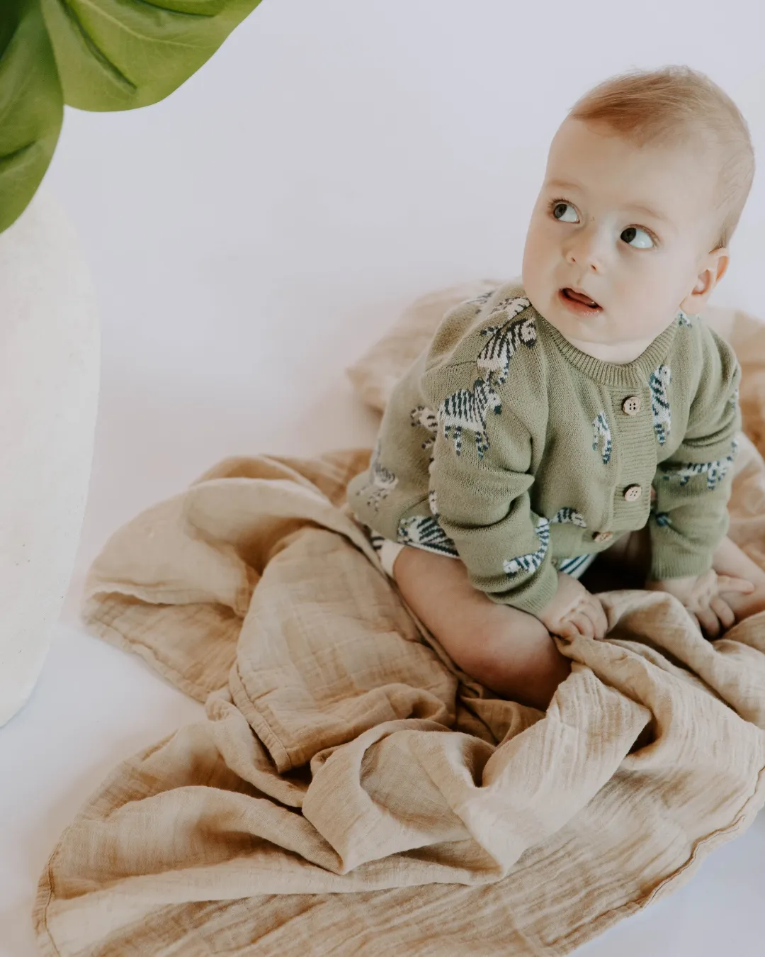 Organic Cotton Knit Jacquard Cardigan in Zebra